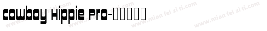Cowboy Hippie Pro字体转换